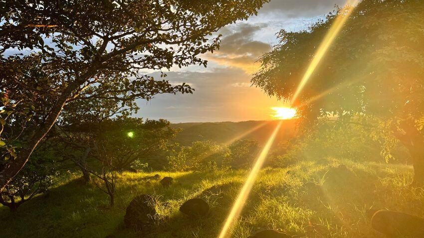 A Global Refuge In Panama’s Hurricane-Free Highlands