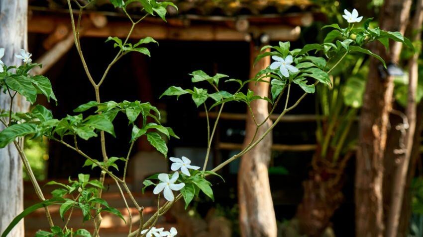 Residents can participate in community orchards, hydroponic gardens, and small livestock farming