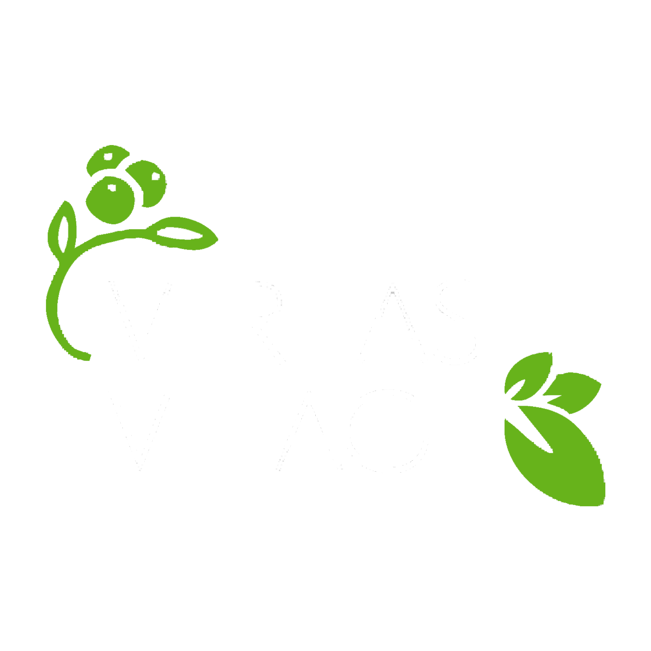 Veritas Village logo 1 - Transparent - Large
